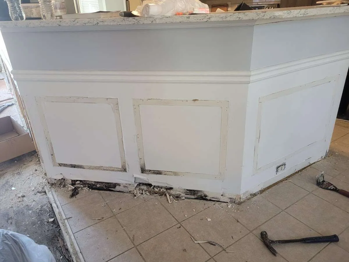 Water damage and mold on kitchen during Mold Inspection & Testing in Norfolk